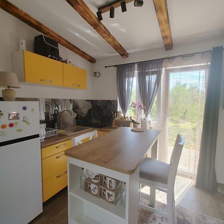 شقة Cattleya Novigrad Istria المظهر الخارجي الصورة