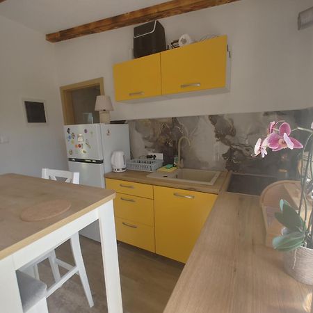 شقة Cattleya Novigrad Istria المظهر الخارجي الصورة