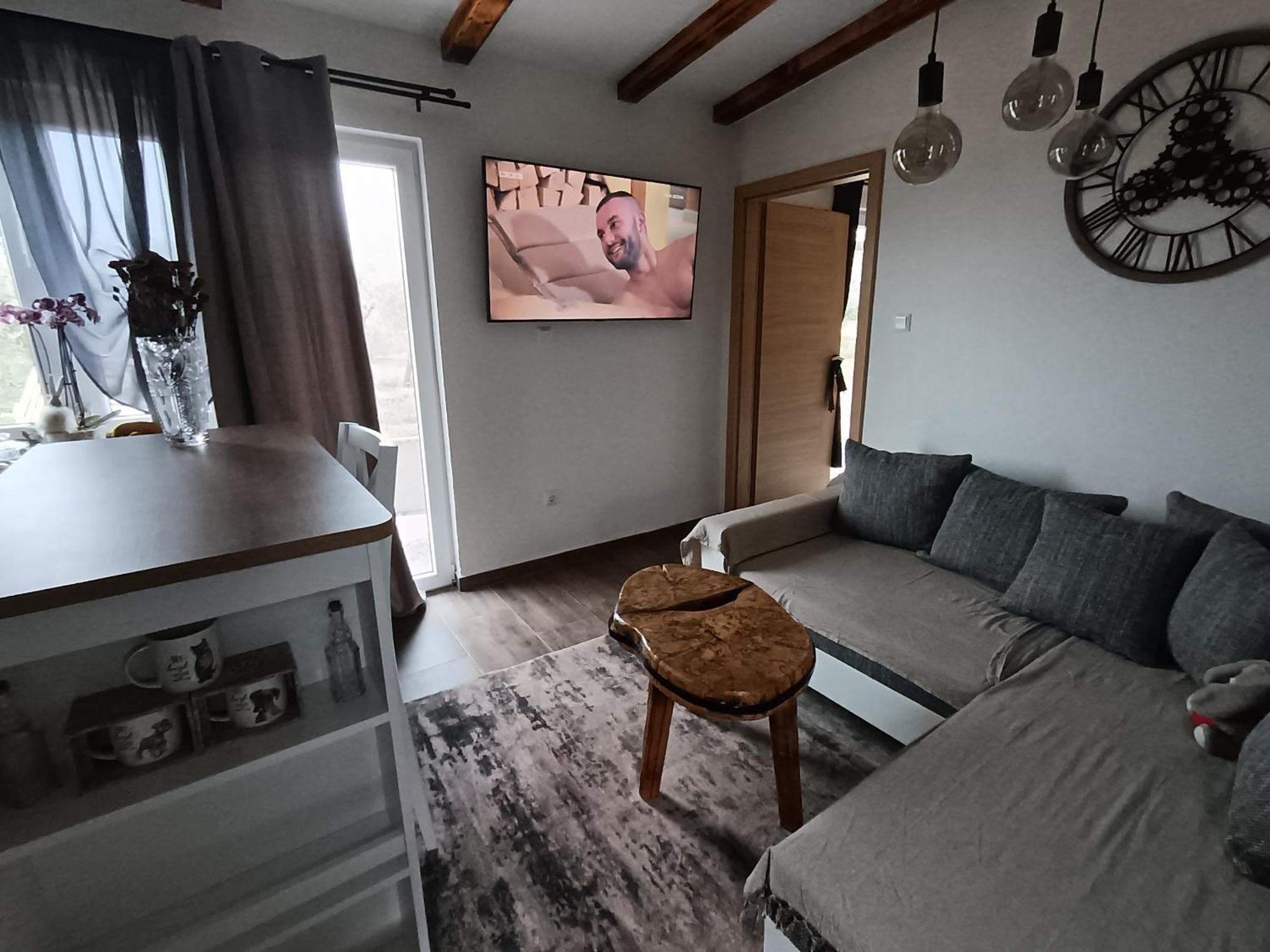 شقة Cattleya Novigrad Istria المظهر الخارجي الصورة