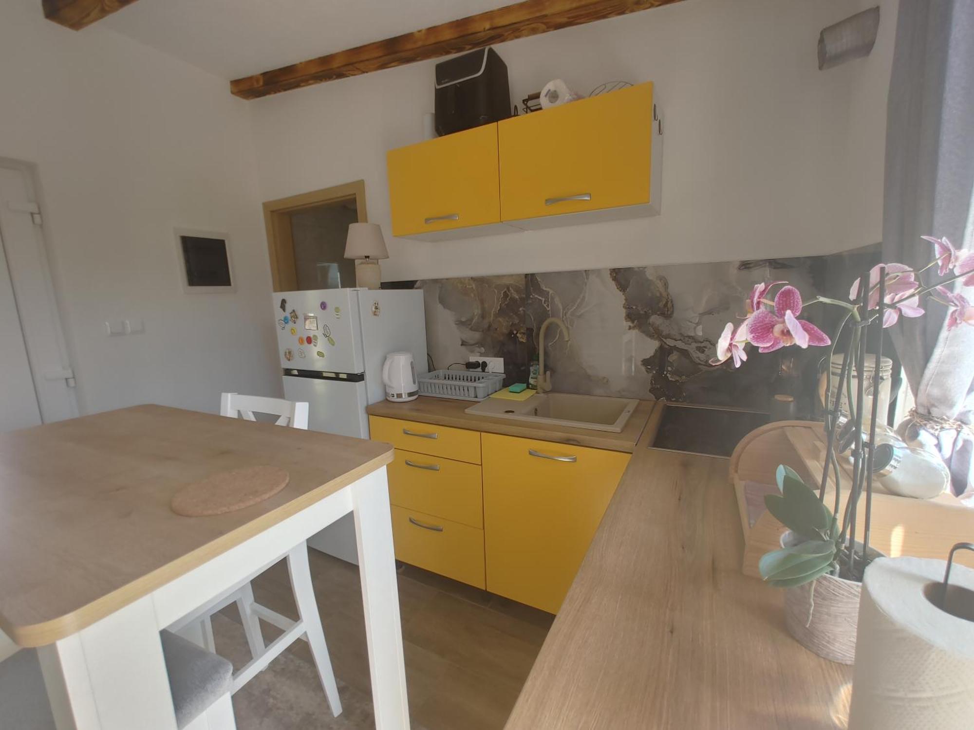 شقة Cattleya Novigrad Istria المظهر الخارجي الصورة